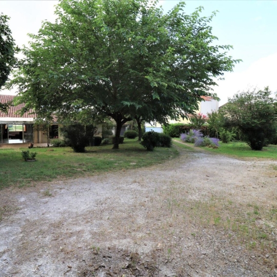  CAP VENDIS : House | BAYON-SUR-GIRONDE (33710) | 229 m2 | 363 600 € 
